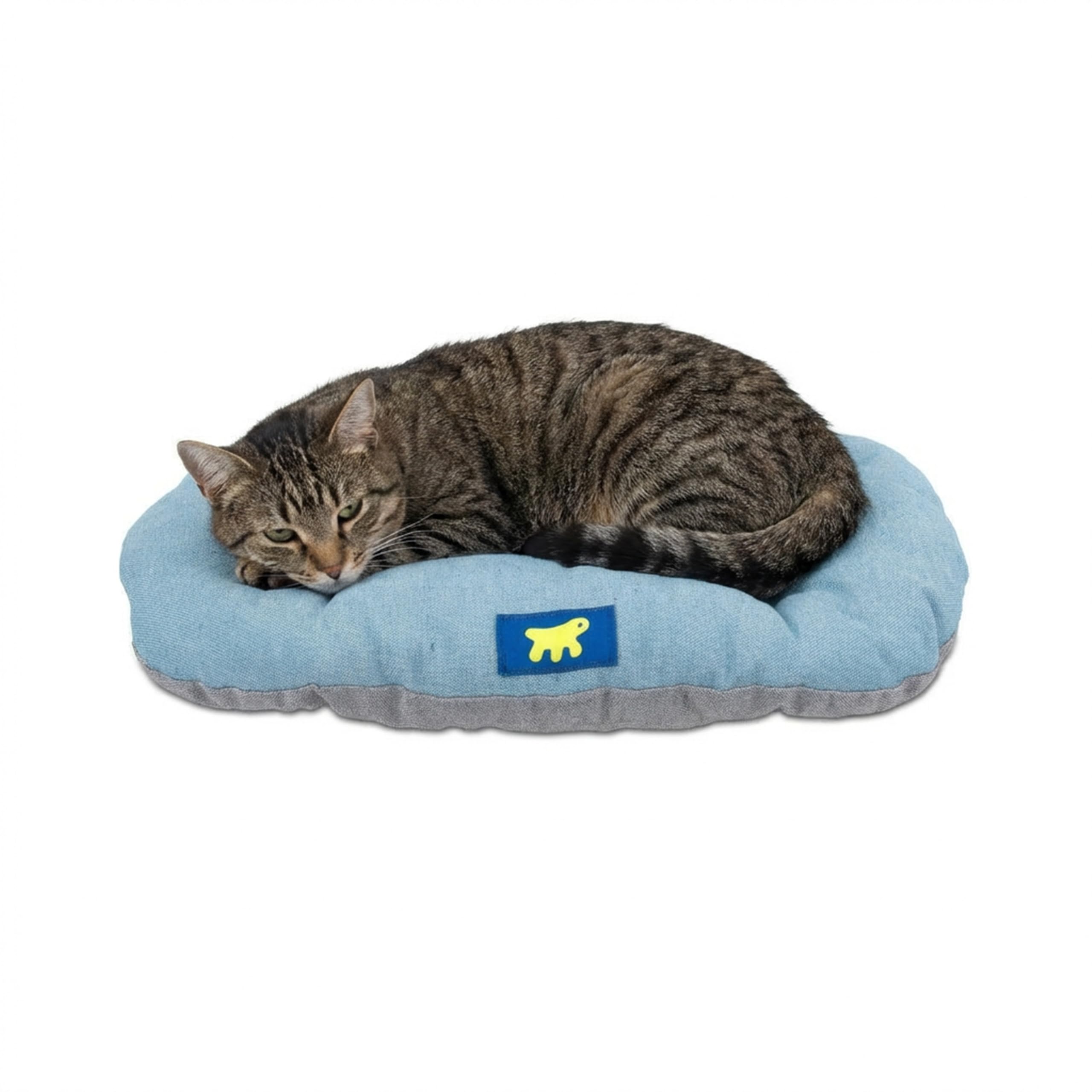 Ferplast Cuccia Cane Relax, Cuscino per cani di piccole dimensioni, Cuccia Gatto, Tappetino per cucce e auto -Lavabile - in Cotone con Soffice Imbottitura, 55 x 36 cm. Azzurro