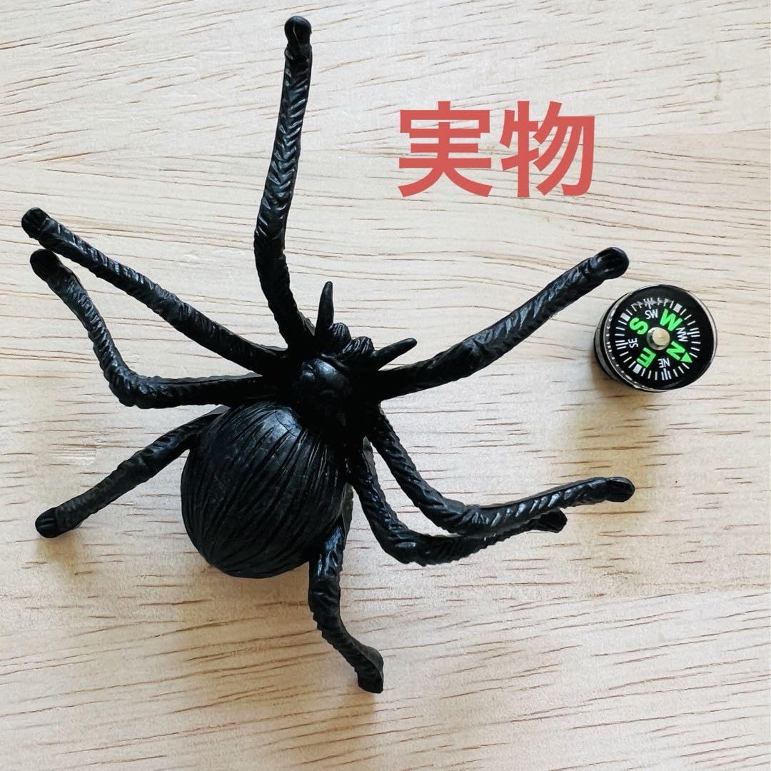 Amazon.co.jp: ジビッツ クロックス アクセサリー 蜘蛛 クモ くも