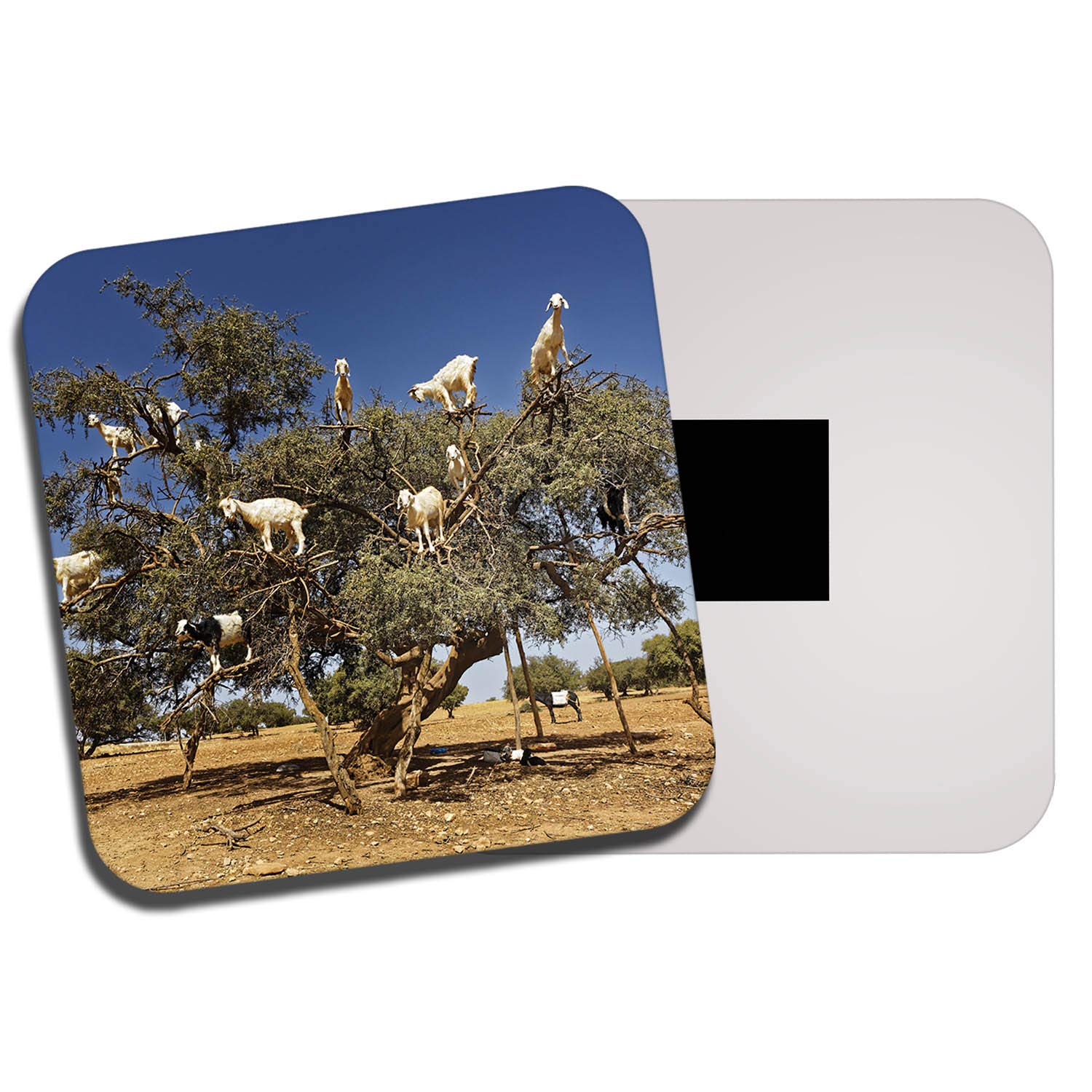 Destinationvinyl Multicolor 1 X Funny Tree Goats Fridge Magnet - Goat Morocco Animal Mum Auntie 8667