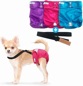 Paw Inspired Reusable Washable Dog Diapers Pack of 3 in Assorted Colors with White Lining and Dog Diaper Suspenders in Black Combo Pack X-Small
