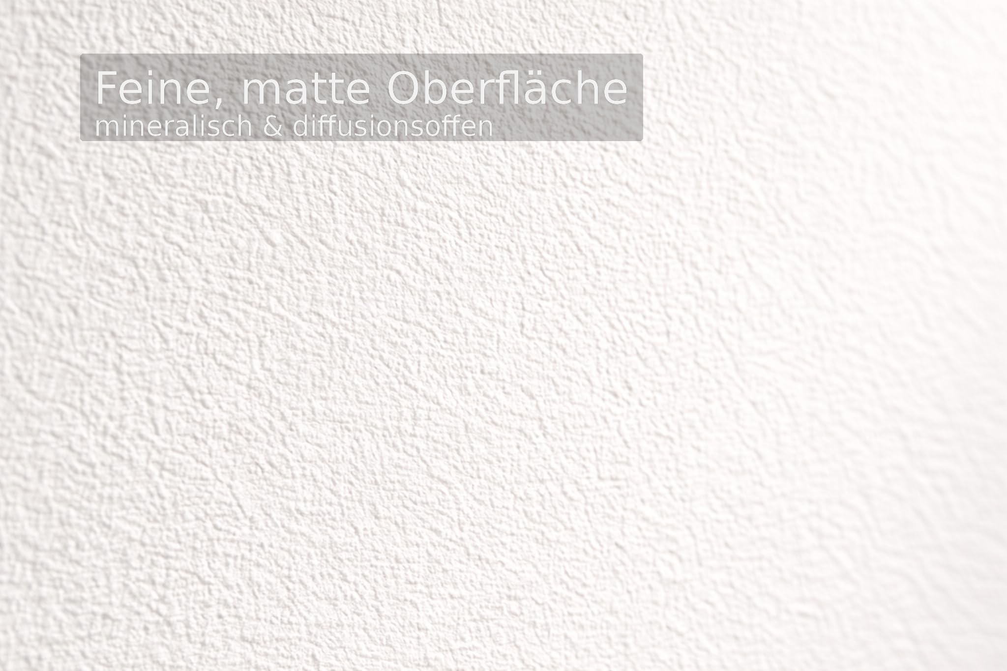 RyFo Colors Silikat Innenfarbe 10l – mineralische Wandfarbe weiß, diffusionsoffen, Deckkraft Klasse 1, Nassabrieb Klasse 1, allergikergeeignet