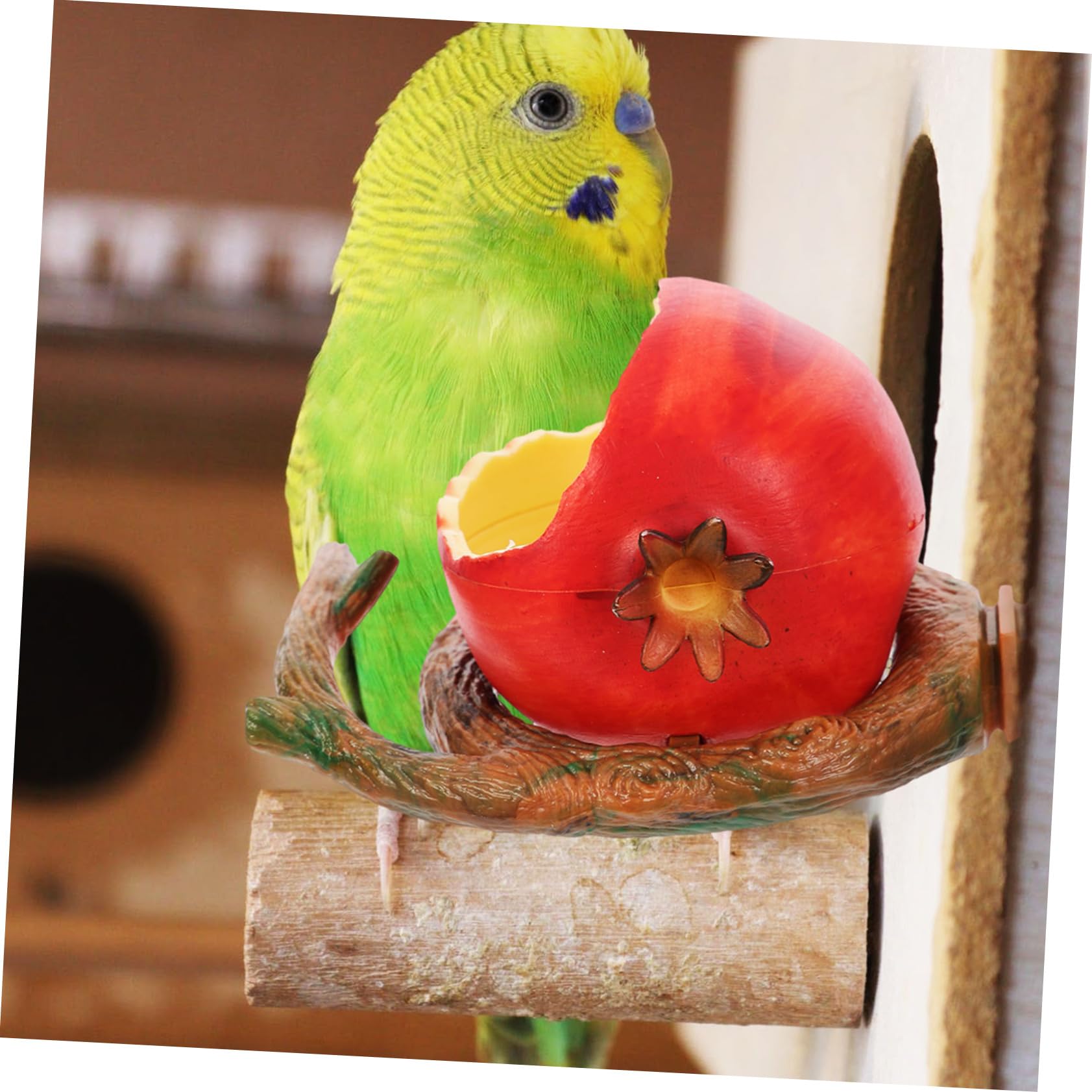Yardwe 5piezas Comedero para Pájaros Antisalpicaduras Contenedor De Alimentos para Periquitos y Canarios Alimentador De Jaula Lavable y Resistente
