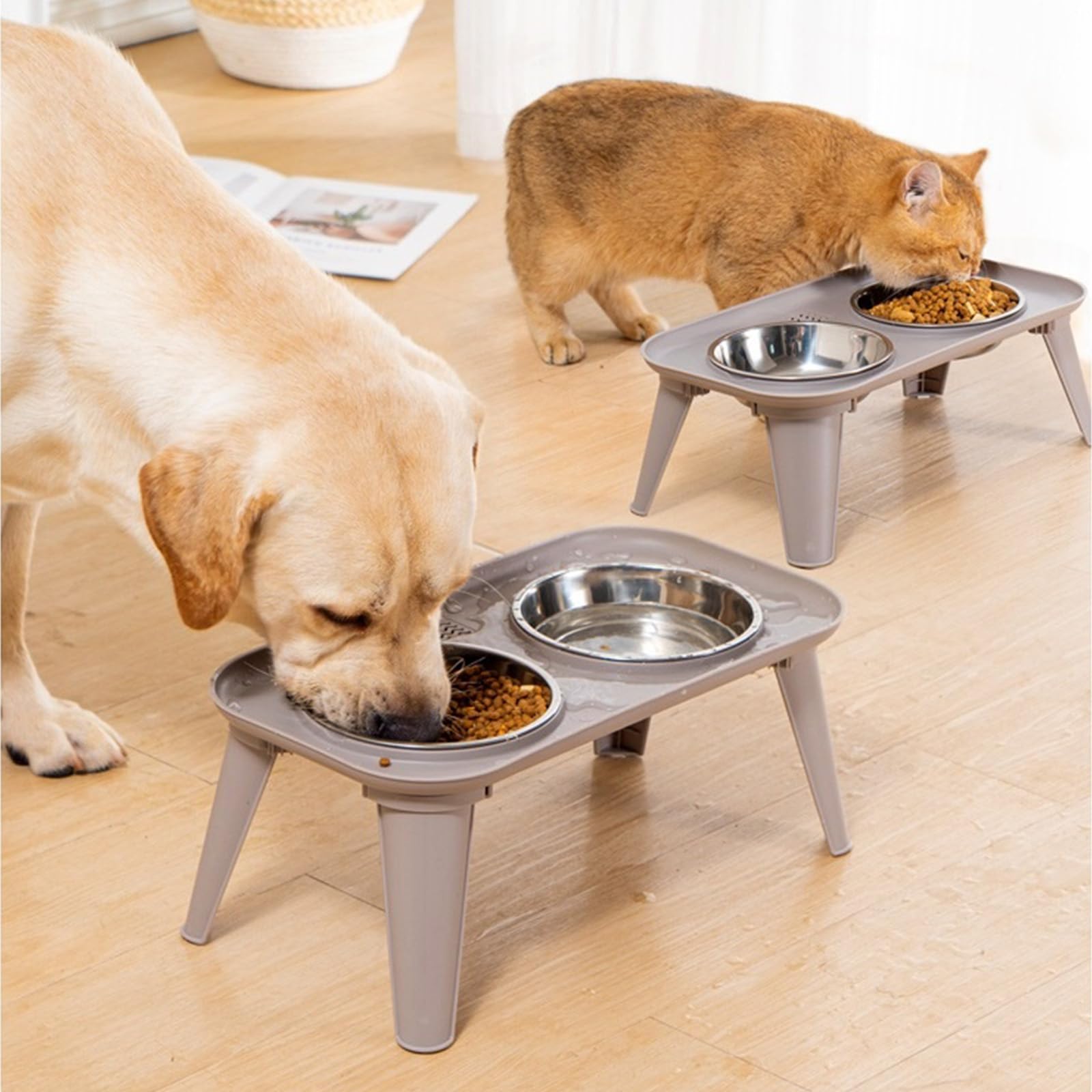 Récipient en acier inoxydable pour soulager le cou - Nourriture surélevée pour chien de grande taille
