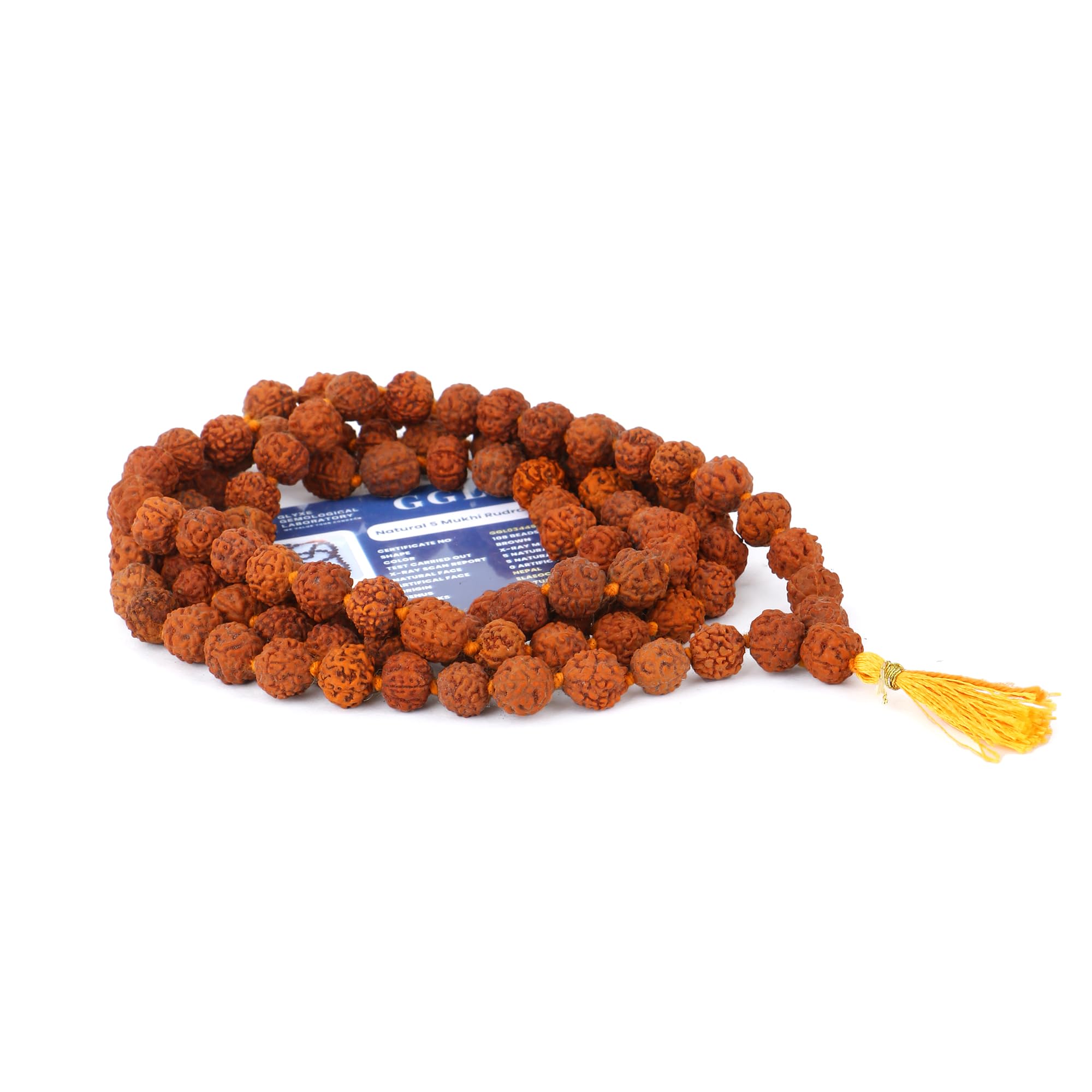 Zap Impex Rudraksha Mala Petit Collier Rudraksha Naturel Certifié