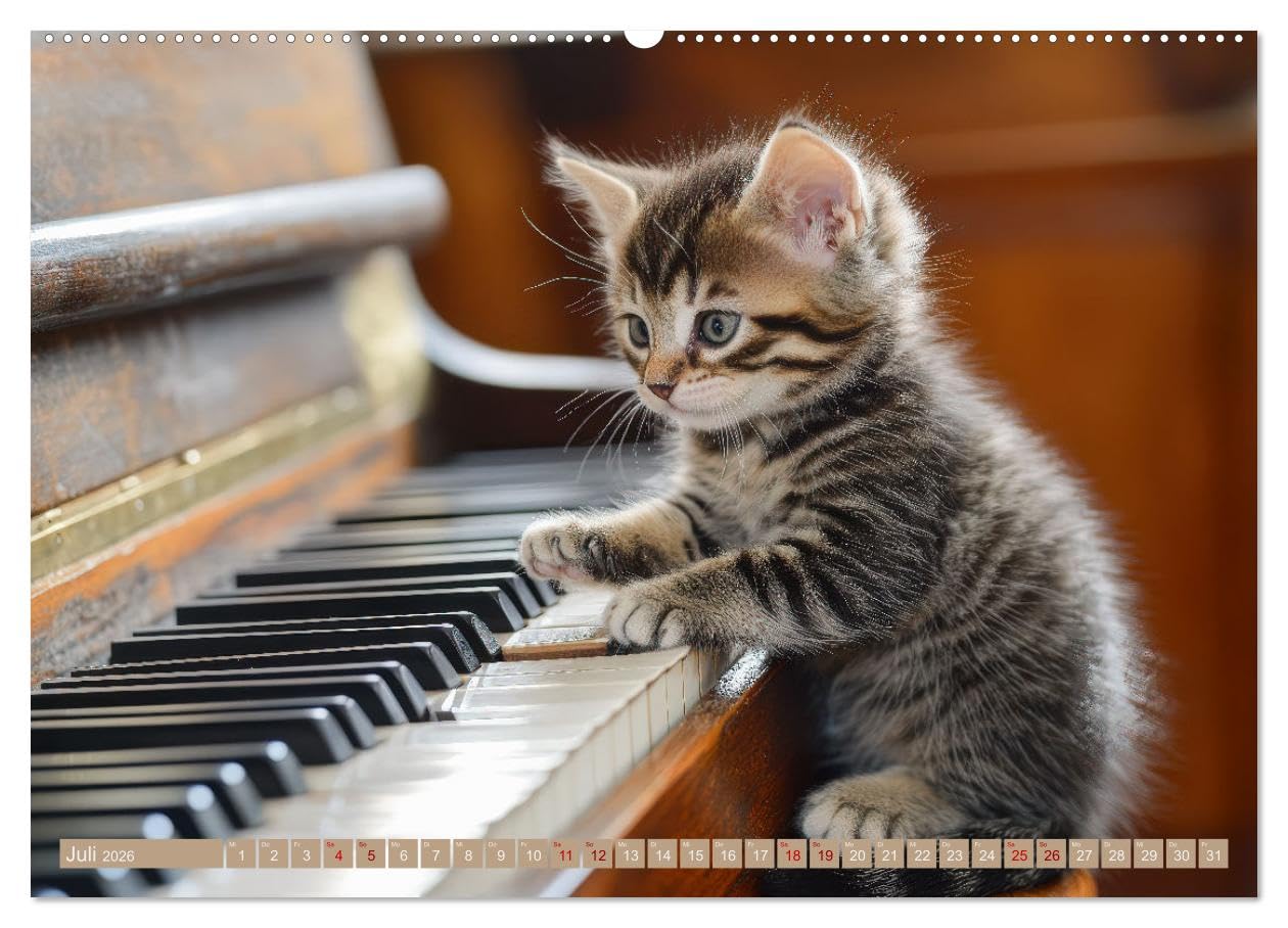 Miau-sikalische Momente (hochwertiger Premium Wandkalender 2026 DIN A2 quer), Kunstdruck in Hochglanz: Katzenkonzert: Süße Melodien kleiner Pfoten (CALVENDO Tiere)