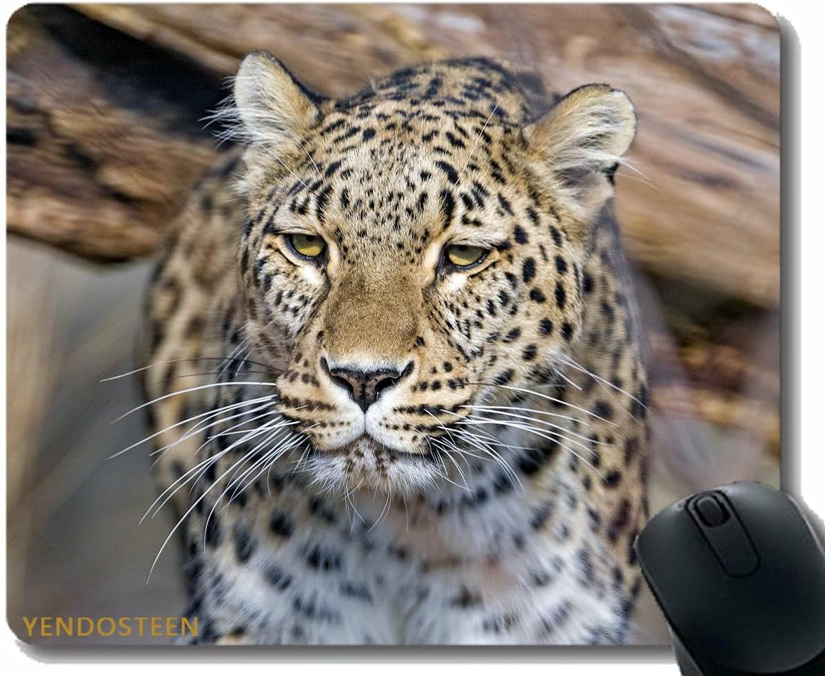 YENDOSTEENYENDOSTEEN Mouse Pad With Stitched Edge,Leopard Sleep Big Cat 159065 Mouse Pads