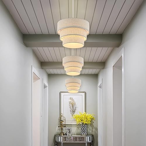 Miniatura 8 de Mateyrie - Lámpara colgante enchufable, lámpara colgante con interruptor regulable, accesorios de luz colgante con cable de 15 pies, luz colgante