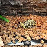 Tapis Chauffant Reptile, PeSandy 42x28CM Tapis Chauffant Terrarium Réglable avec Contrôle De La Température pour Reptiles -Tortue, Serpents, Lézards, Geckos, Araignées -Tapis De Sécurité Pour Aquarium - 7