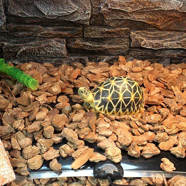 Reptile Heating Mat with Temperature Adjustment, 7W Non-Adhesive Heat Pad for Reptiles Tortoise Snakes Lizard Gecko Hermit Crab Turtle Amphibians - Removable Under Tank Heat Pad (11x6 inch) - 5