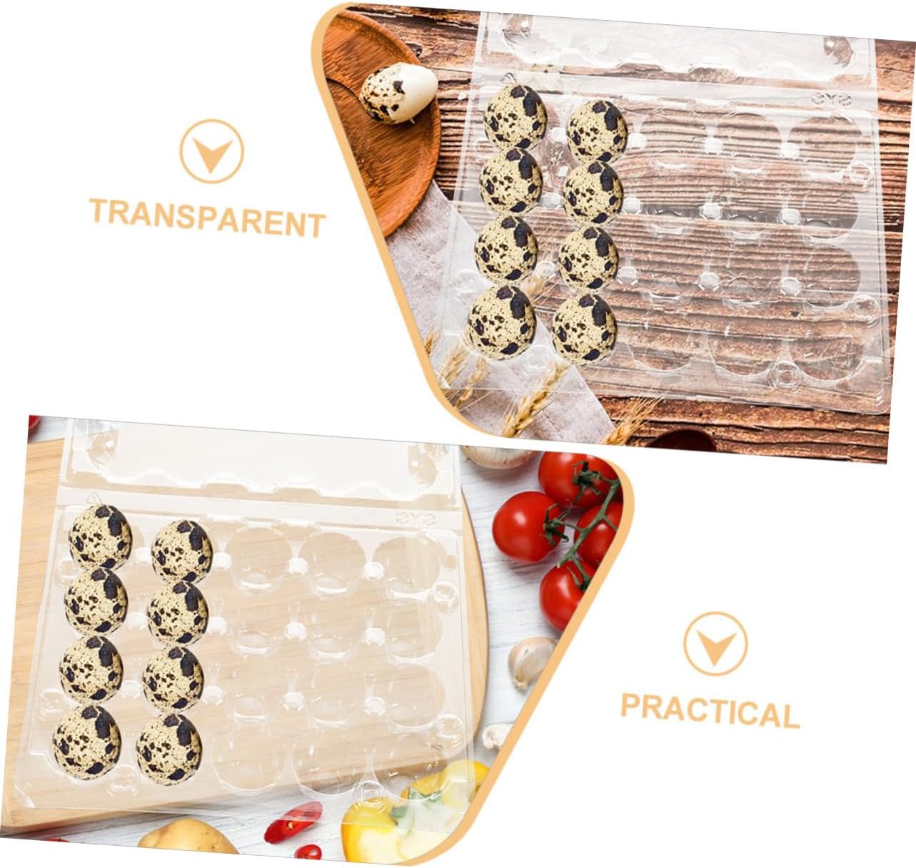 Angoily 20pcs Transparent Quail Holder Reusable Container for Storage Compact Design for Refrigerator and Kitchen Organization and Easy to Clean