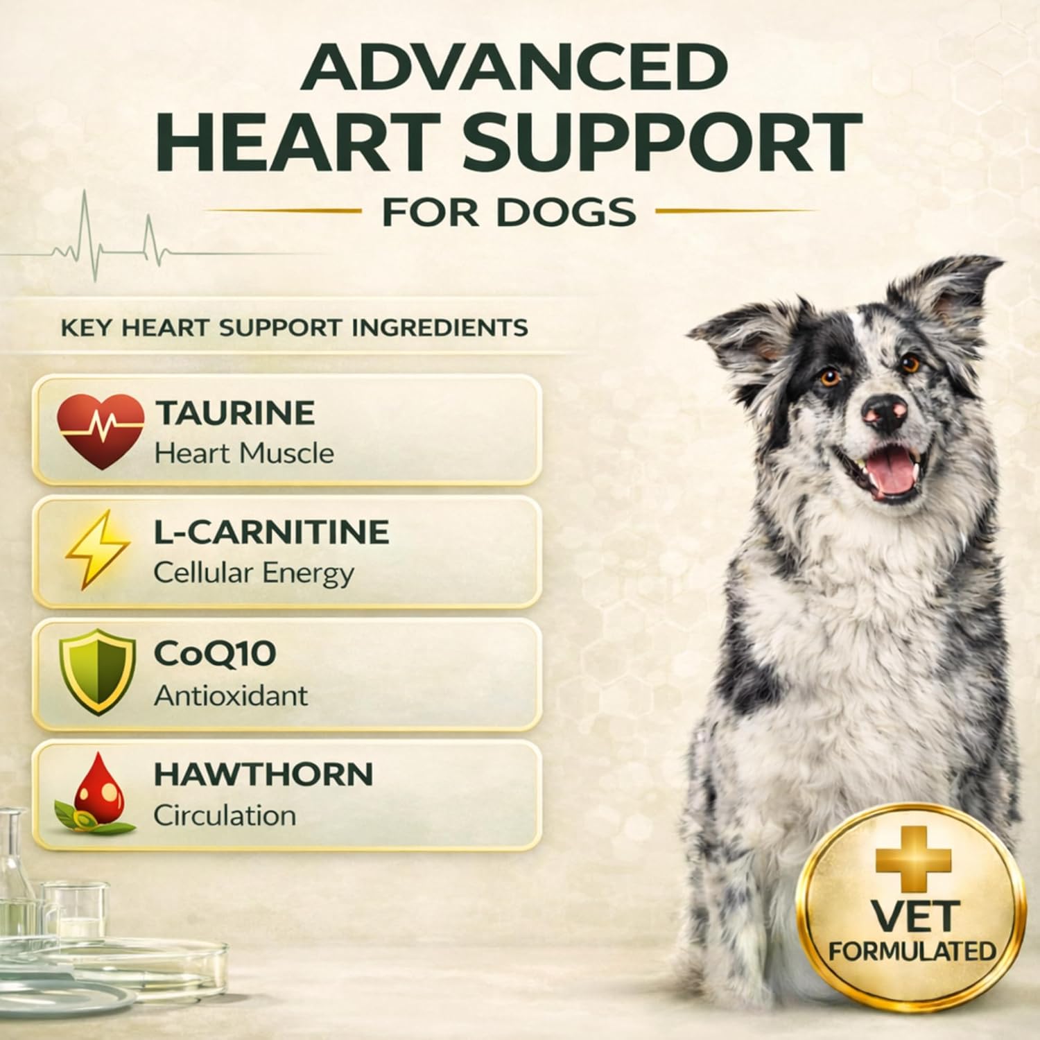 VetriScience Extra Strength Healthy Heart Chews, Vetri Cardio Supplement for Dogs, Cardio Support Supplement with Taurine, Carnitine, CoQ10, and Hawthorn, Chicken, 60 Count