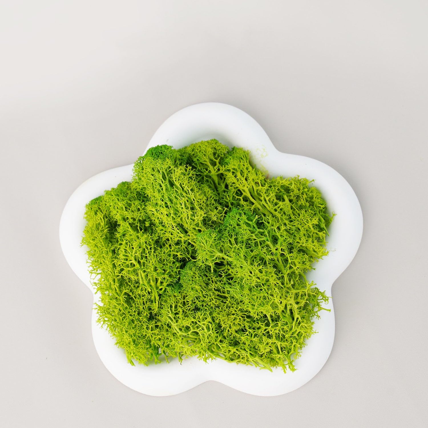 Hierba de Musgo de Vida eterna, Plantas Verdes Artificiales Artificiales, decoración for Sala de Estar, Mini Paisaje, Manualidades DIY, 100/200/500g