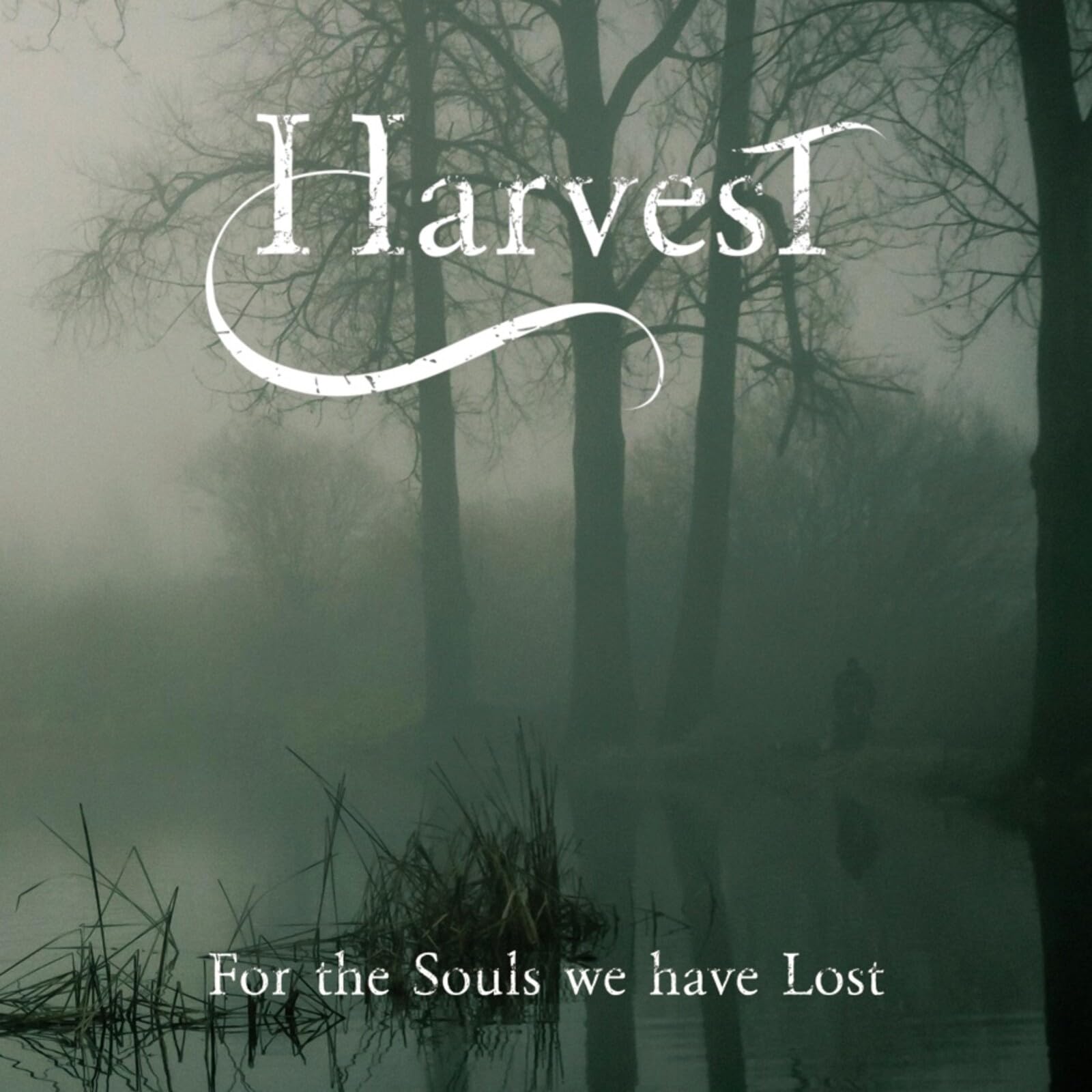 For The Souls We Have Lost