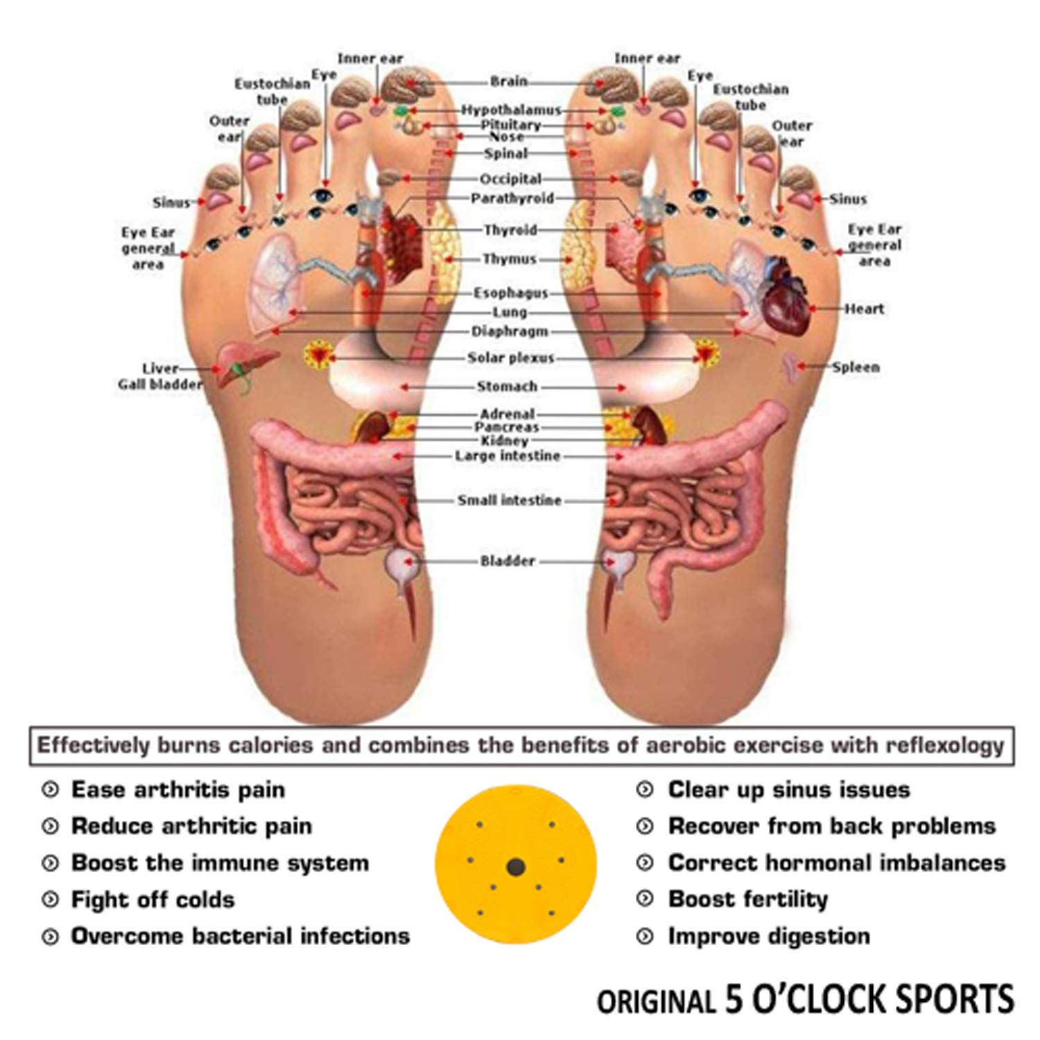 Review Oddish; Way To Fitness Tummy Twister Waist Trimmer Disc For