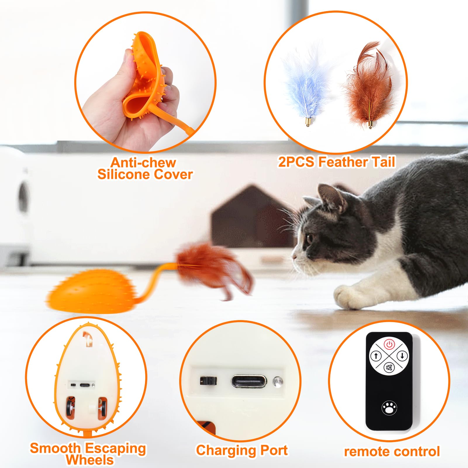 Snapklik.com : Mity Rain Cat Interactive Toys For Indoor Cats, Remote ...