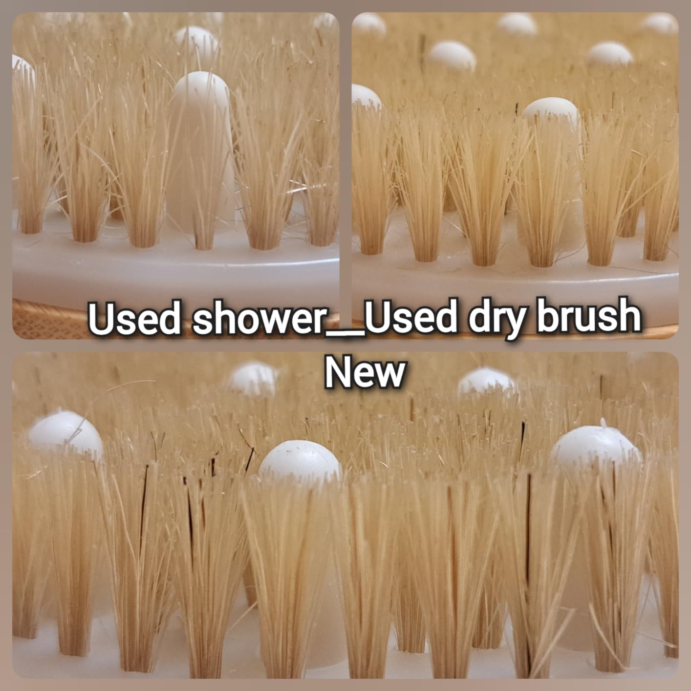C.S.M CSM Dry Brushing Body Brush for Lymphatic Drainage - Natural Boar Bristle Exfoliating Brush Set with Face Brush for Cellulite, Circulation & Glowing Skin