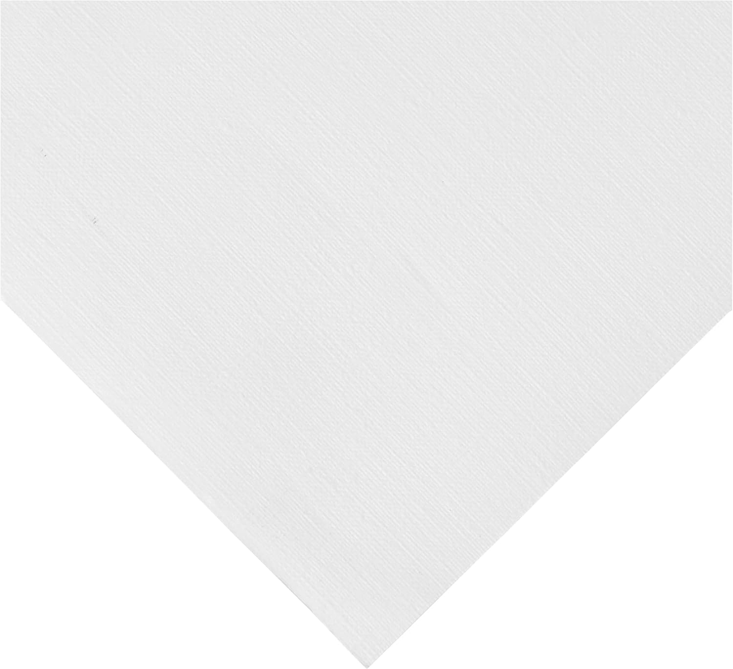 Canson Artist Series Canva-Paper, Roll, 48ininx10yd (136lb/290g) - Artist Paper for Adults and Students - Oil Paint, Acrylic Paint, Mixed Media