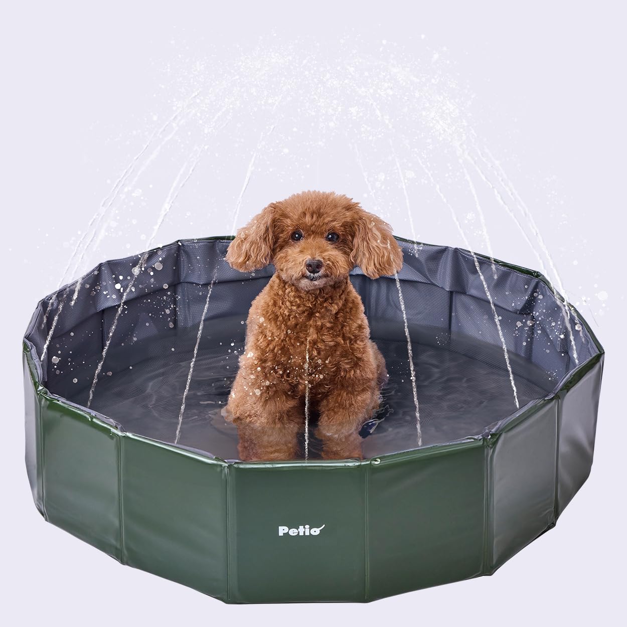 ペティオ (Petio) 犬用 スプラッシュペットプール