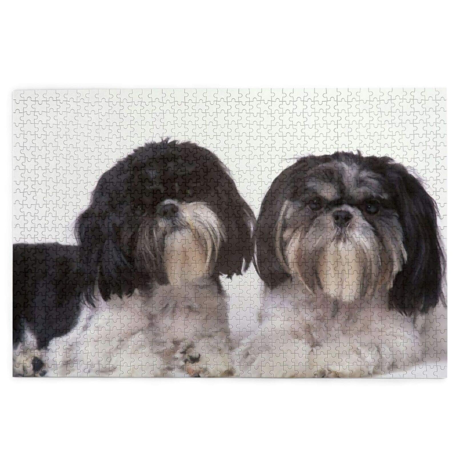 Puzzle 2000 pièces, Animal Chien Mignon Shih Tzu Jouet Éducatif Amusant Jeux Éducatifs Décoration de la Maison Puzzle 70x100CM