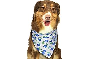 Blueberry Bandana: A Stylish and Versatile Accessory for Your Dog