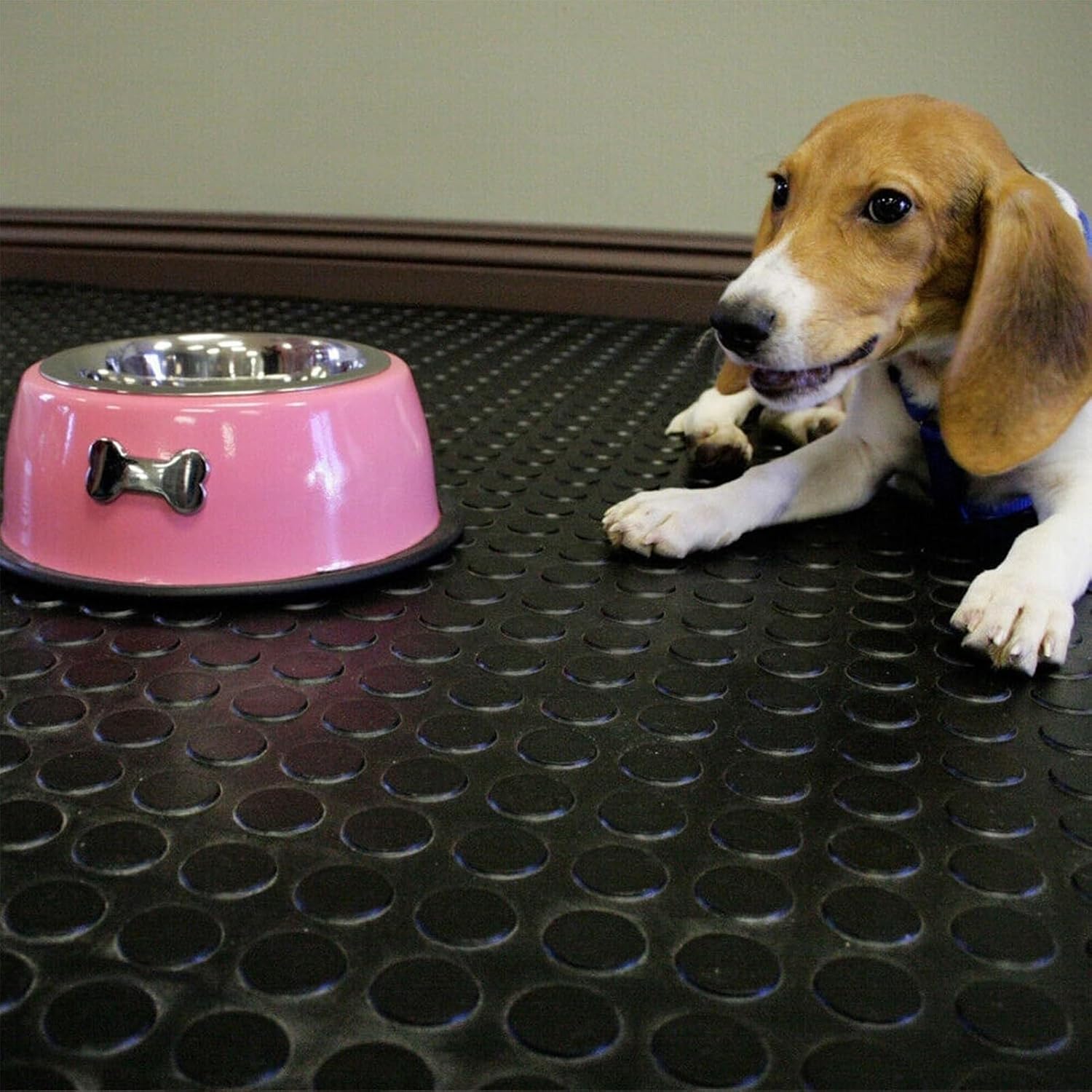 ゴムマットロールフロアプロテクターマット、コインパターン滑り止めフローリングランナー、防水ガレージフロアカバー(1.2x5.5m/3 PVC 滑り防止フロア  マット、カーペット滑り防止マット、防水ドア マット、倉庫フロア マット(Red,90x1000cm/3x32 楽天市場】【楽天 ...