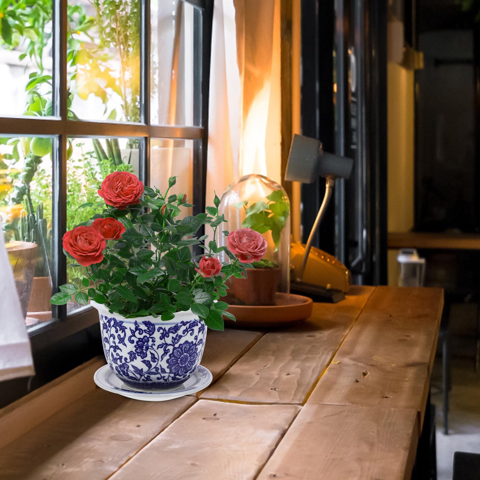 Vaso per Piante in Ceramica con Motivo Decorativo Blu e Bianco, Set da 1 con Vassoio, per Fiori e Piante Grasse da Interno o Ufficio
