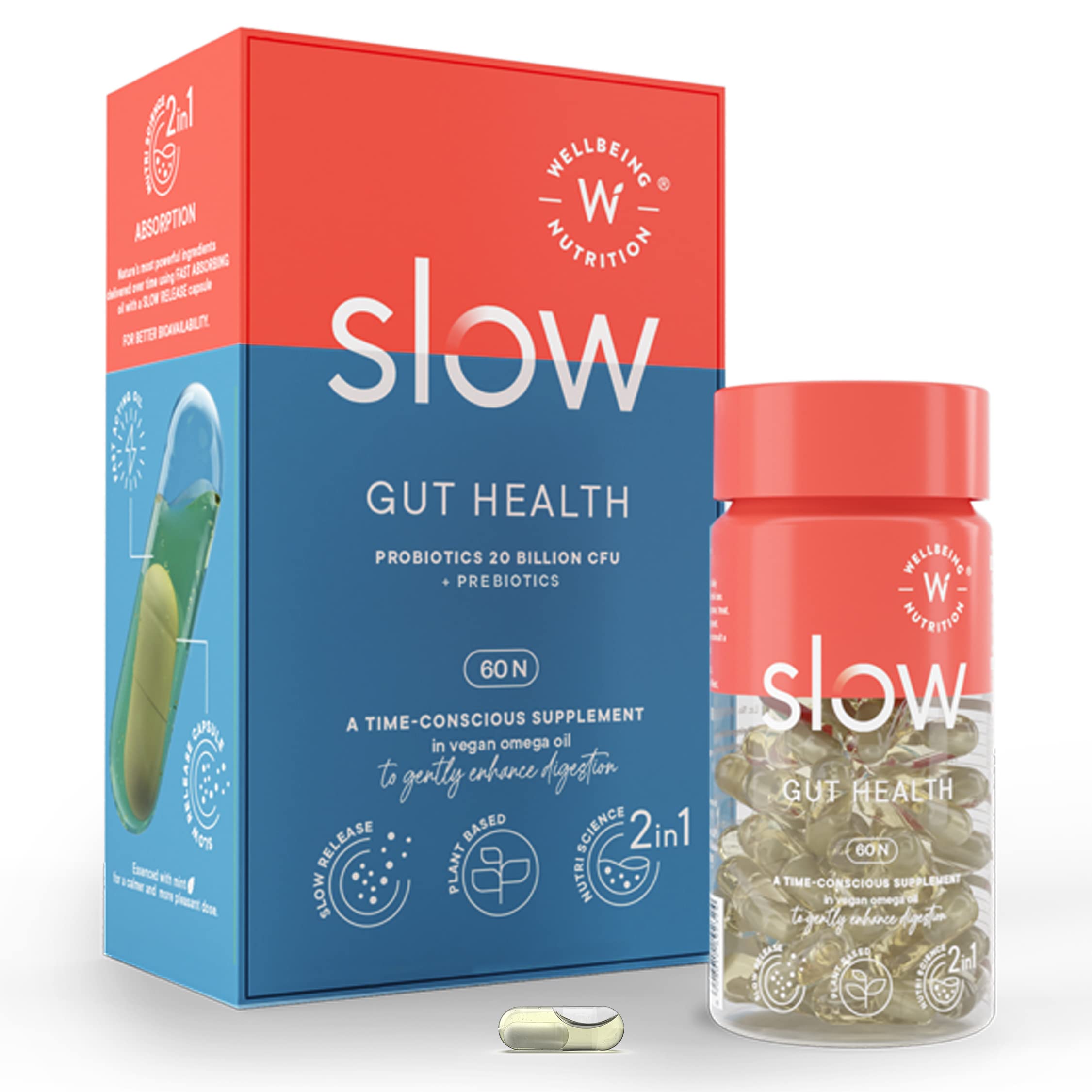 Buy Wellbeing tion Slow Gut 20 Billion CFU Probiotic & Prebiotic in