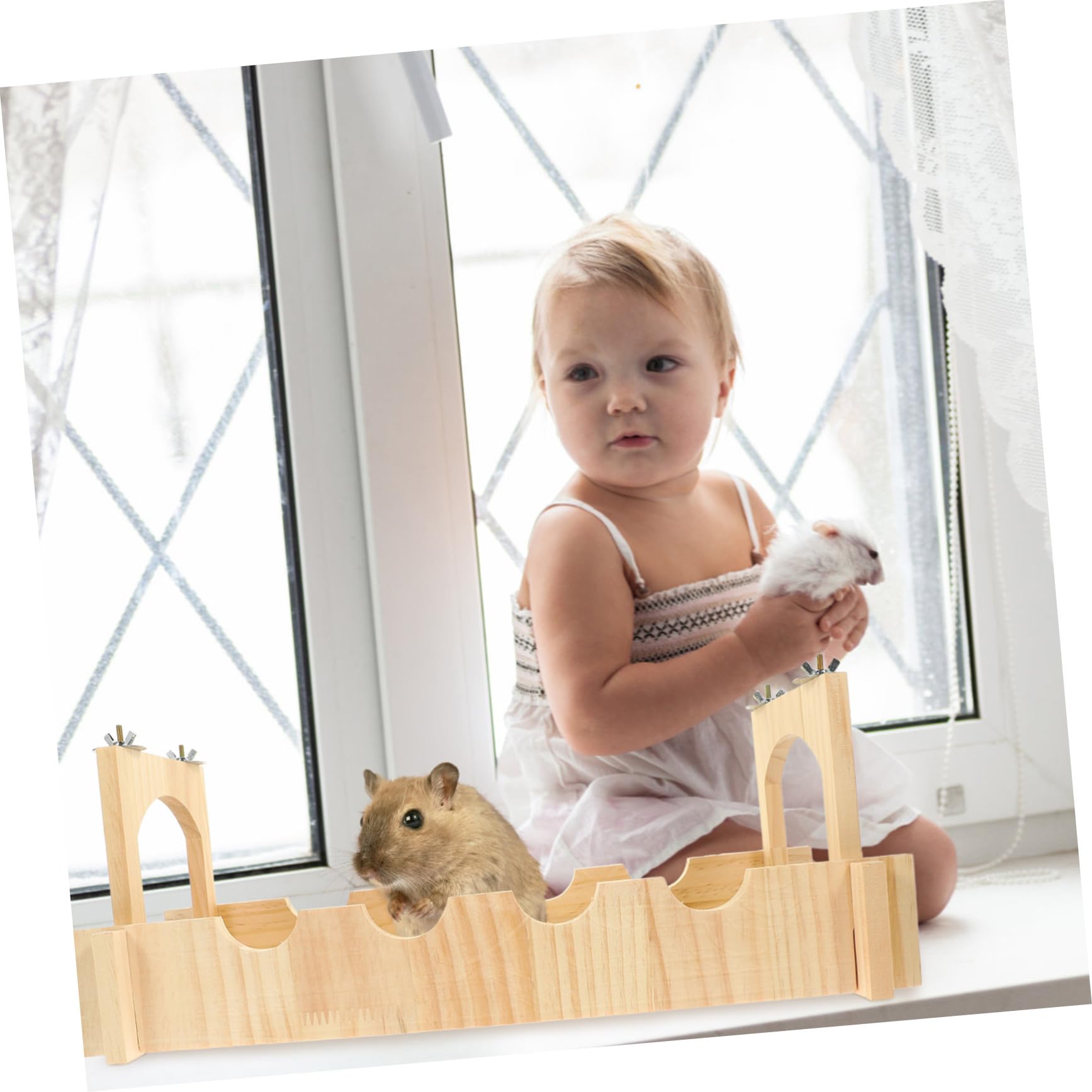 Hamsterkäfig Aus Holz Stabile Tierbrücke Für Kleintiergehege Rattenbrücke Als Tierversteck Geeignet Für Hamsterkäfige Und Meerschweinchengehege