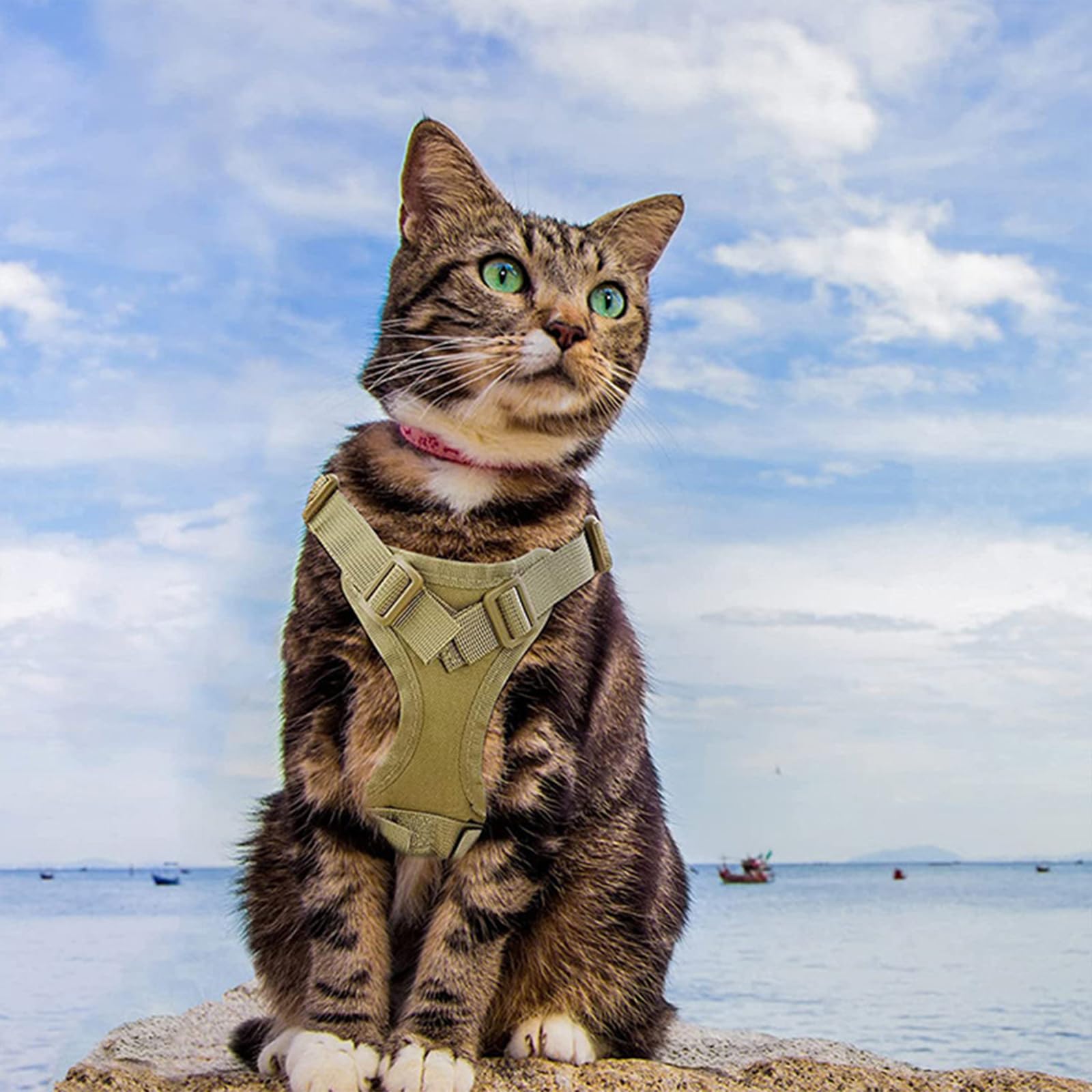 Pettorina tattica per gatti a prova di fuga, per camminare, con toppe personalizzate, regolabile, a prova di fuga, 3,6-9,1 kg, morbida gilet per gatti grandi con guinzaglio opzionale (nero)