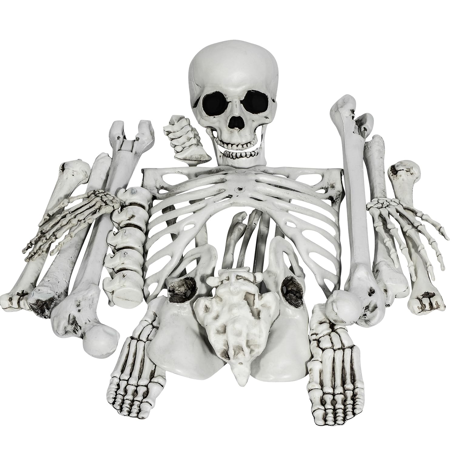 XONOR 24 Pieces Halloween Skeleton Bones and Skull for Halloween Decor or Spooky Graveyard Ground Decoration
