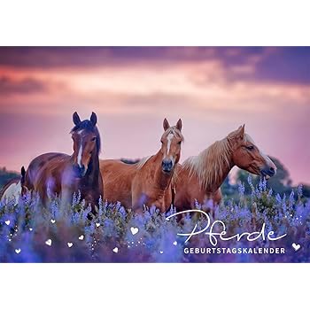 Geburtstagskalender Pferde 34 3 X 23 3 Cm Immerwahrender Kalender Mit Foto Motiven Pferd Wandkalender Mit 13 Blatt Amazon De Burobedarf Schreibwaren