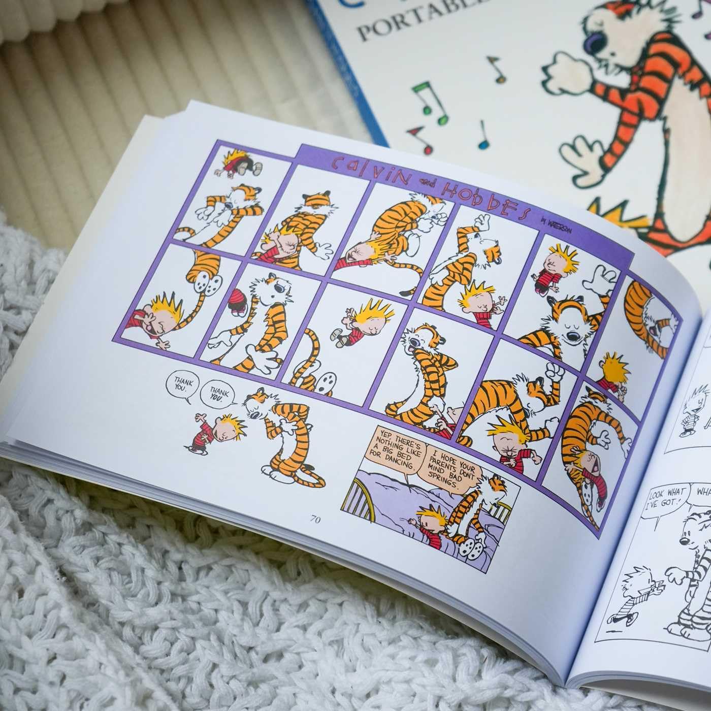 Calvin and Hobbes Portable Compendium Set 6: Volume 6