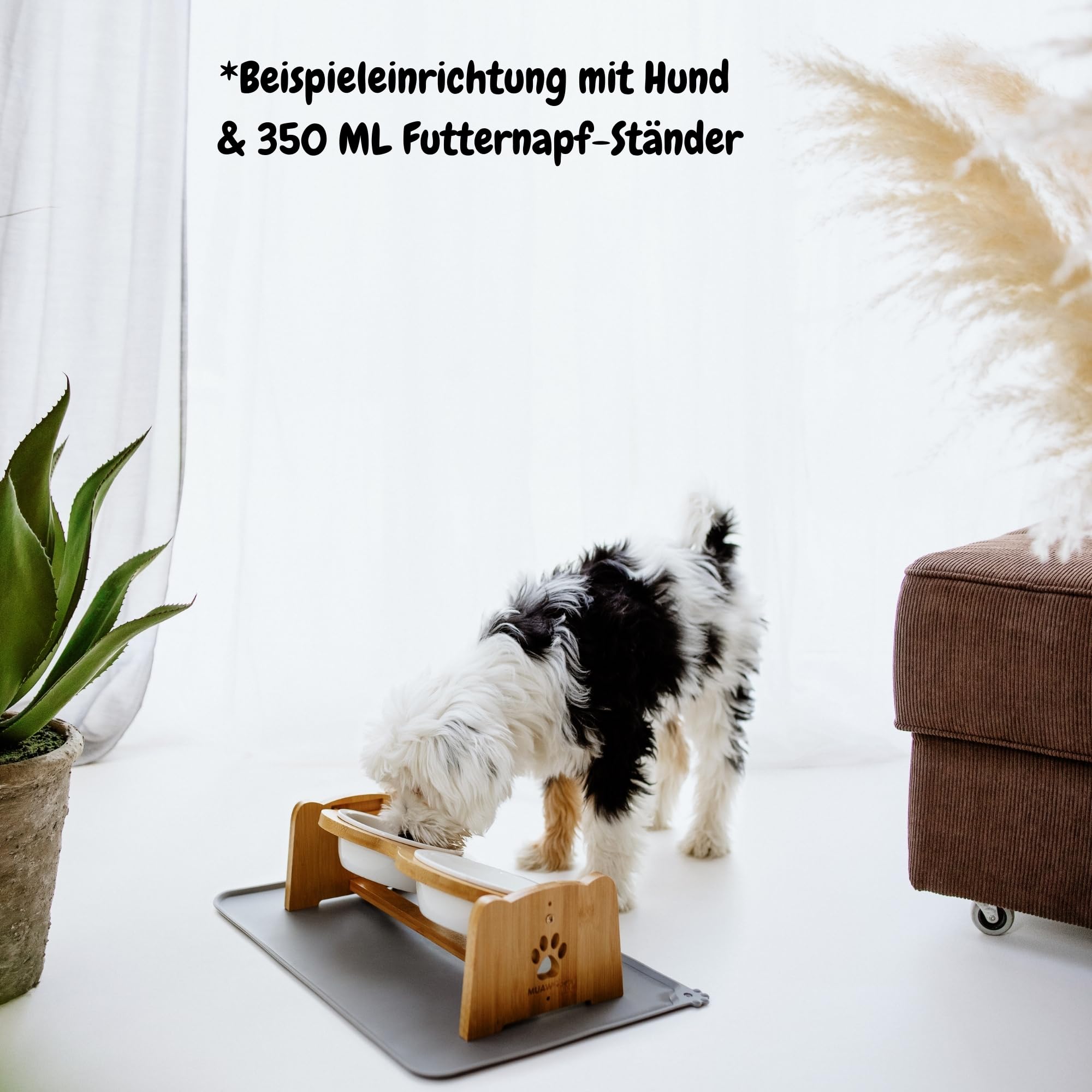 Petzy Premium Keramik-Hundenapf, höhenverstellbarer Katzennapf, 350 ml pro Napf. Ideal für kleine Hunde, mit Rutschfester Unterlage und Futternapf aus Bambus.