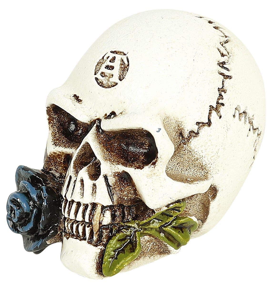 Amazon.com: The Vault Alchemist Skull Miniature : Home & Kitchen
