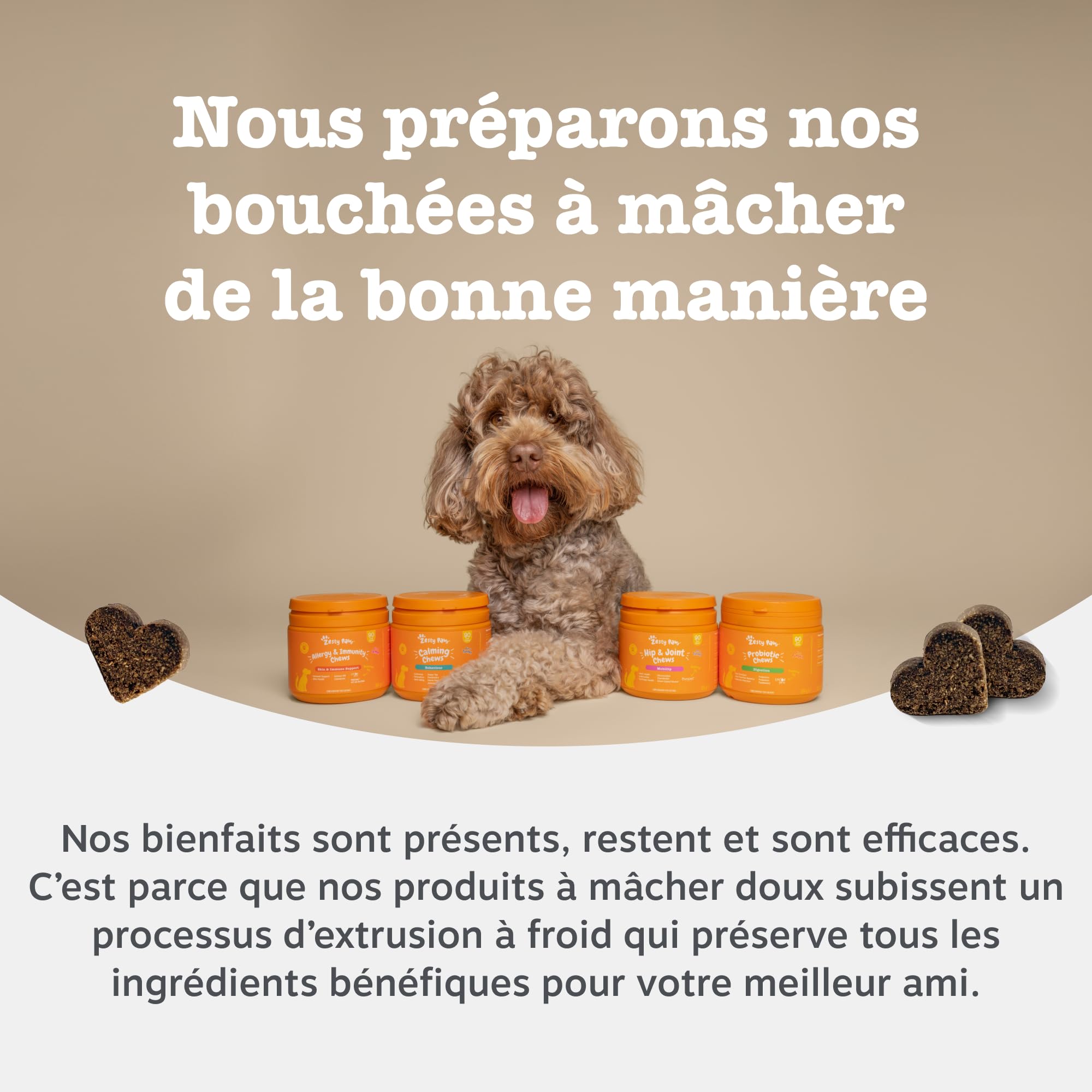 Zesty Paws Bouchées Multifonctions 9-en-1 Chien Senior | Articulations, Yeux, Cerveau, Cœur et Immunité | Vitamines A, B3, B5, C, Acide Folique, Biotine | Usage Quotidien | 90 Bouchées