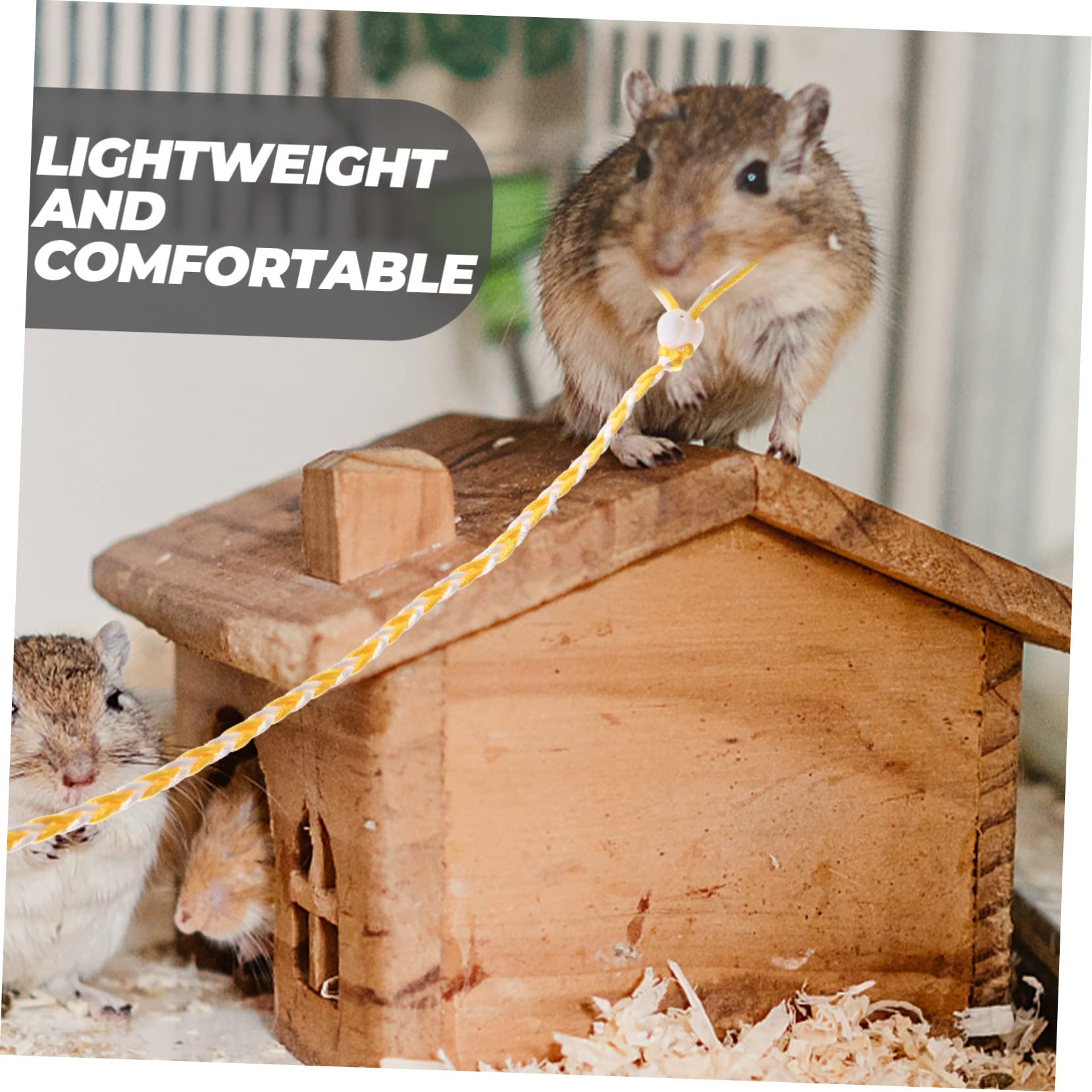 BESPORTBLE 2sets Squirrel Leash and Harness Set Traction Rope for Rabbits and Bunnies Fashionable Durable 3pcs*2