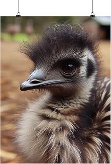 Premium Matte Poster - Emu Chick (Striped Fluffy Fuzz) – Australia