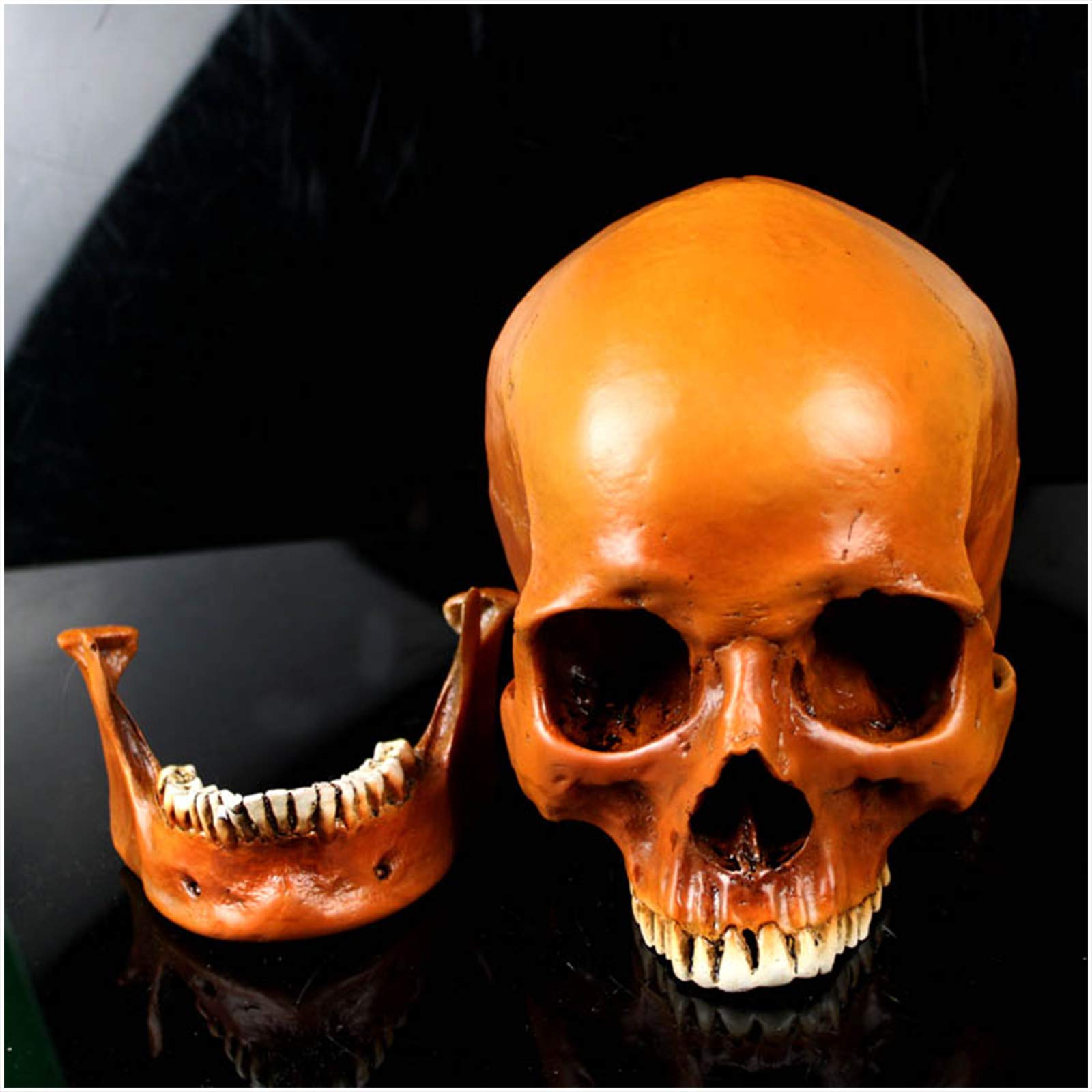 Sjdopulse A Dult Skull Head Model - Life Size Human Skull Replic - Pvc Material Human Skull Rt Sketch Model - For Rtist Drawing Study, Rt Collection Home Decoration (A)