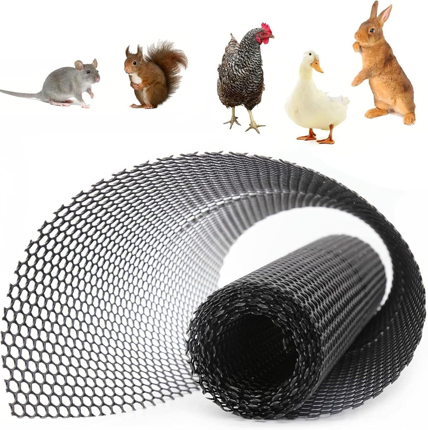 Clôture pour volailles et poussins : Filet plastique oiseaux rennes 0.4x5m