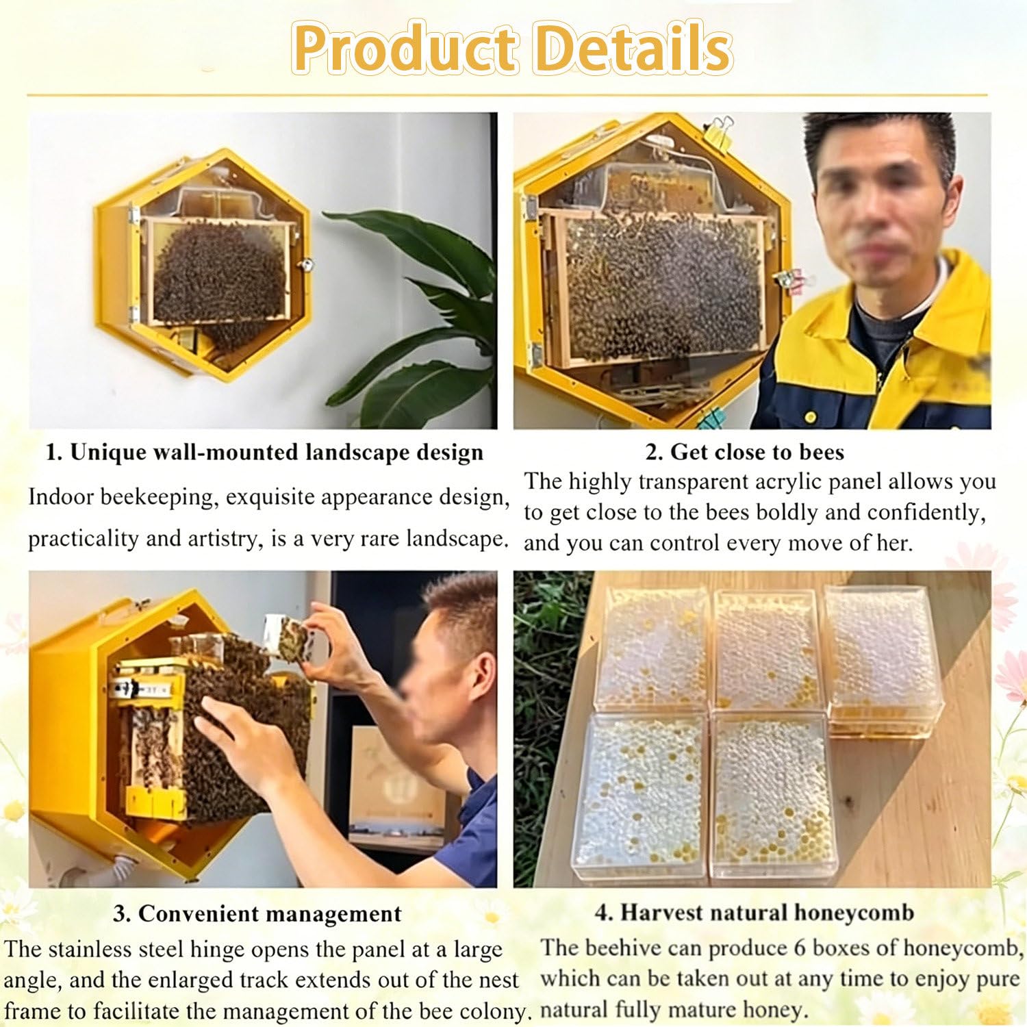 Bienenstock mit Sichtfenster, Wandmontage, 6-Box-Sammelstock für die Ernte von natürlichem Honig und einfache Kolonieverwaltung