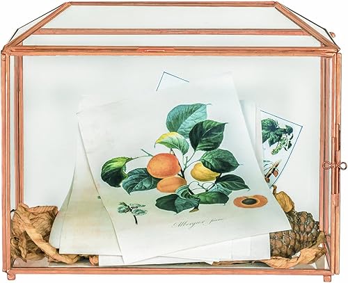 NCYP Pequeña caja de vidrio de 10.2 x 5.9 x 7.9 pulgadas con ranura y cerradura para recepción de boda, centro de mesa de fiesta en casa, decoración