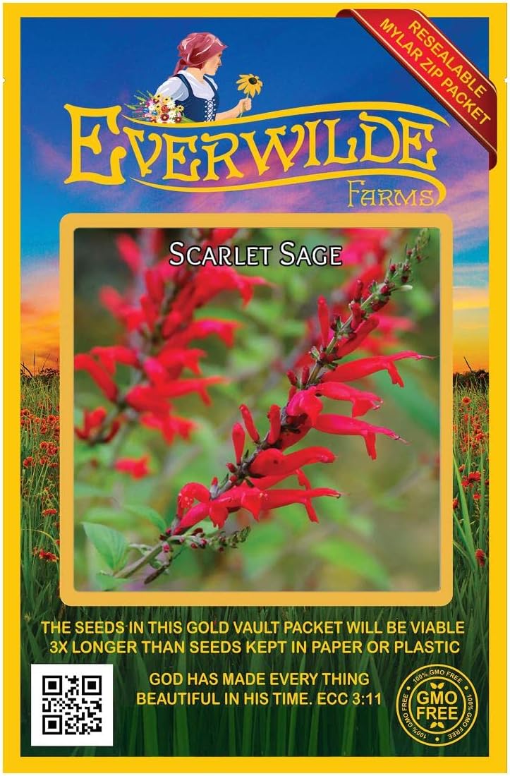 Everwilde Farms - 1 Lb Scarlet Sage Native Wildflower Seeds - Gold Vault