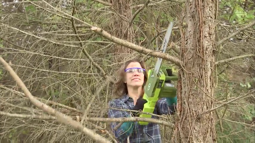 Amazon.com : Sun Joe SWJ599E 14-inch 9-Amp Tree Limb Master