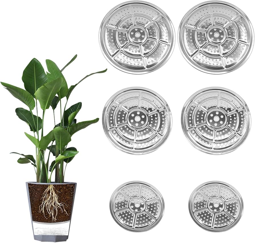 plant saucer Lili Saucer