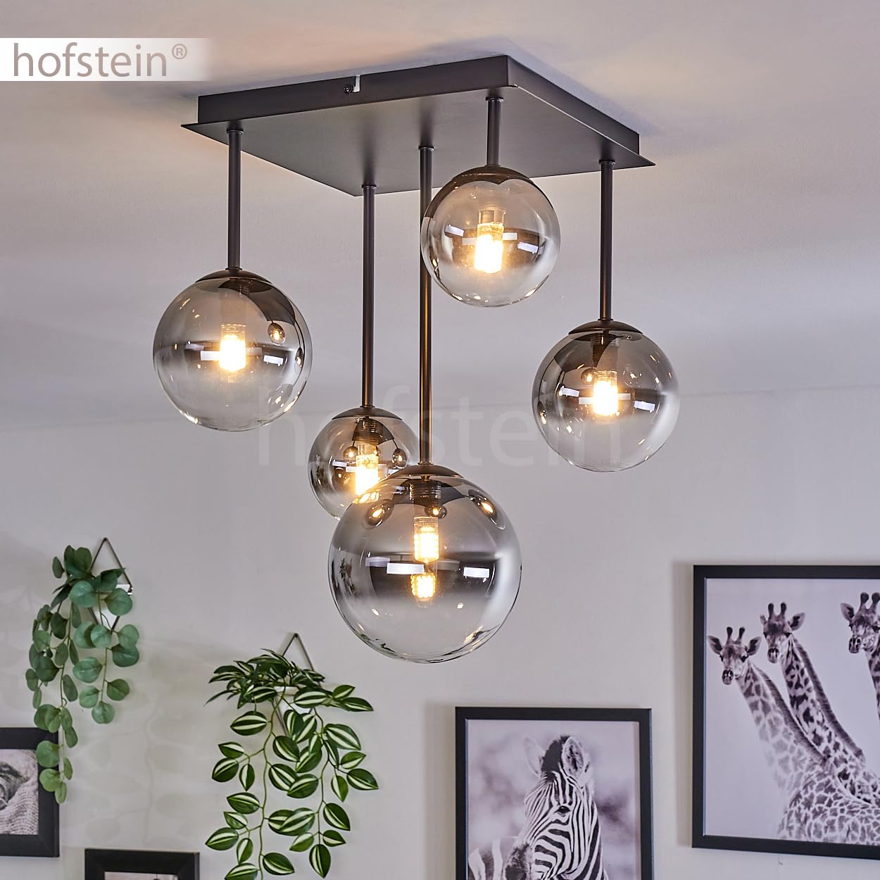HOFSTEIN Plafoniera Chehalis, lampada da soffitto in metallo/vetro nero/fumo/trasparente, lampada dal design moderno retrò/vintage con ombrelli in vetro (Ø 10, 12, 15 cm), 5 x G9, senza lampadina