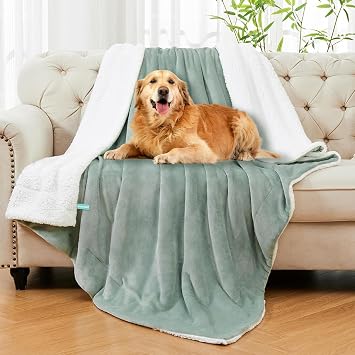 annadaif Sherpa Fleece Pet Throw Blanket for Medium Dogs - Waterproof Cat Blanket, Washable Plush Reversible Bed Sofa Blanket, Sage Green, 50x60 Inches