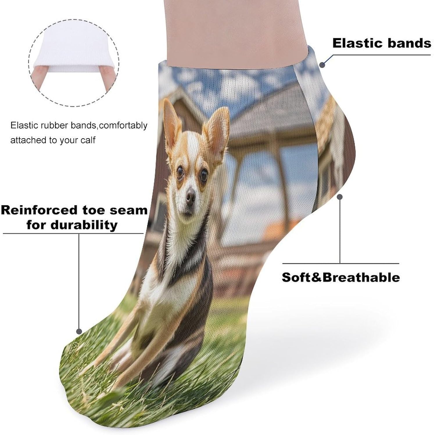 Farm Cute Chihuahua Ankle Sock-Low Cut Breathable,Basketball Socks for Men Women,Tube Socks for Work Sports