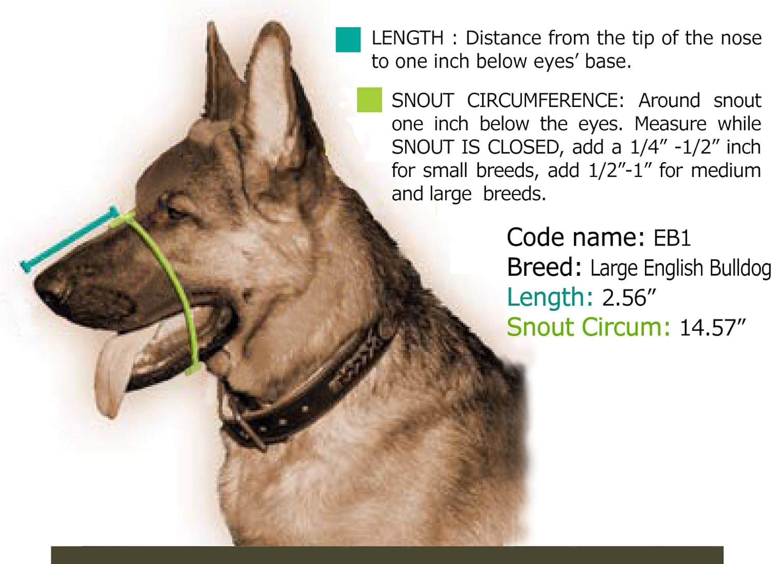 Dean & Tyler English Bulldog Royal Basket Leather Muzzle, Large