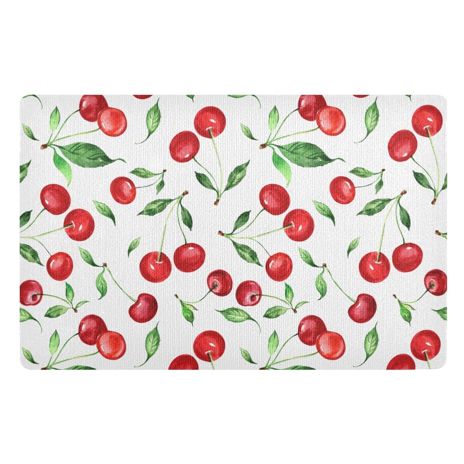 Paillasson antidérapant intérieur lavable 50x80 cm tapis absorbant
