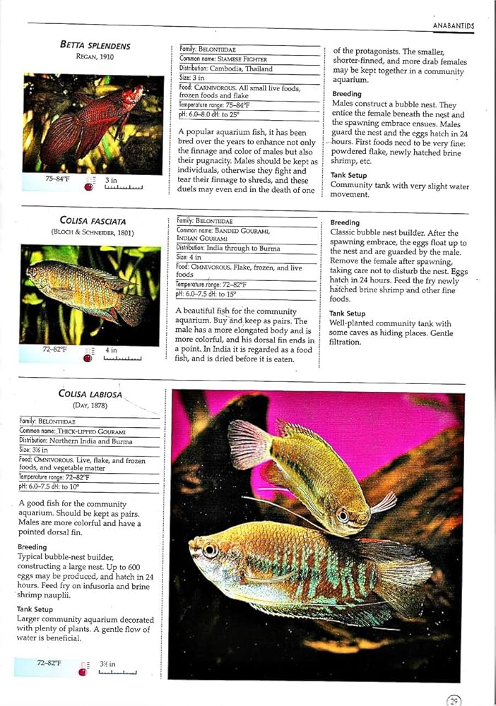 洋書　Freshwater Aquarium Fishes 淡水魚　大型本 洋書 Freshwater Aquarium Fishes 淡水魚 大型本